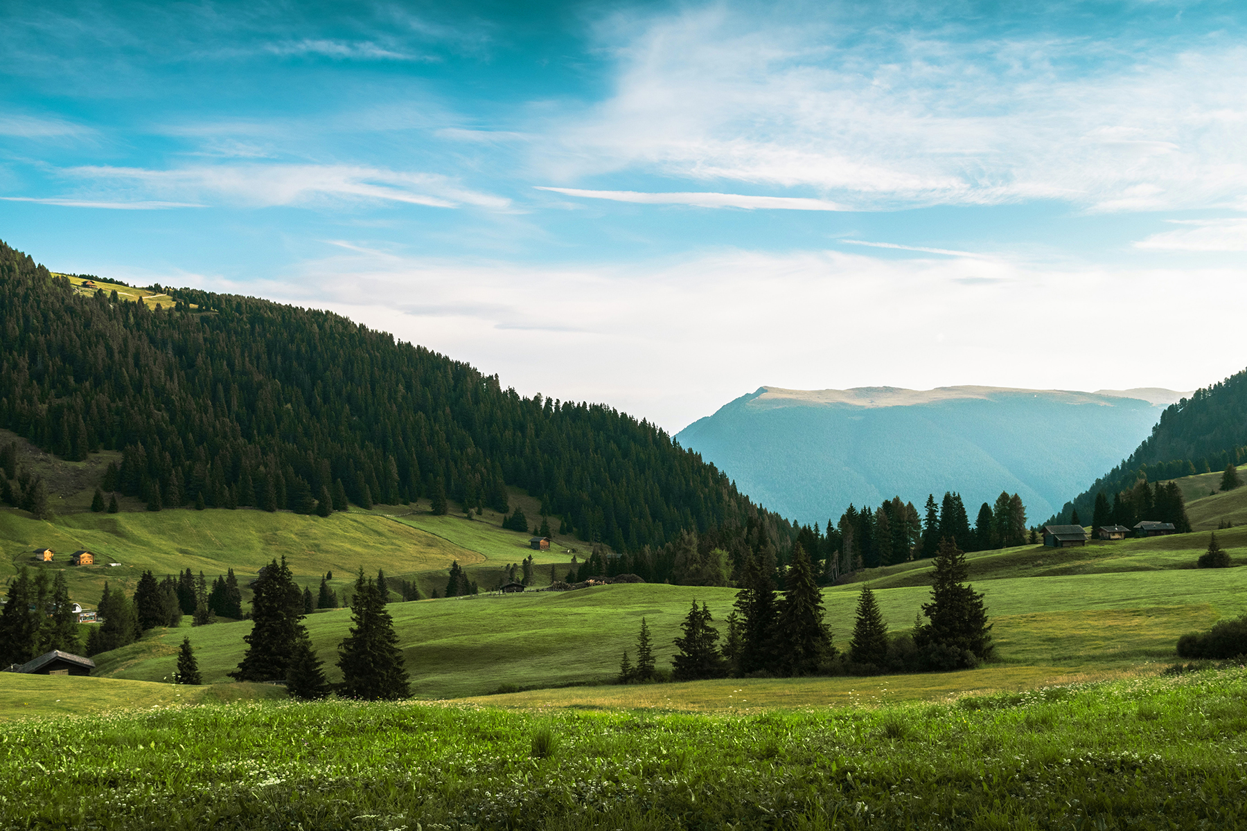 Pienso gatos Summit 10 sin cereales pollo