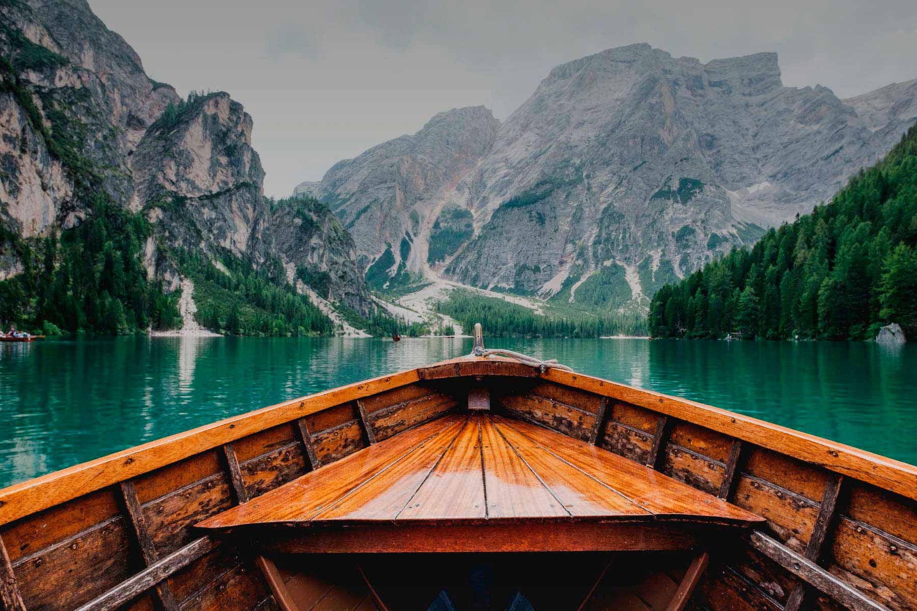 Pienso perros Summit 10 sin cereales pollo