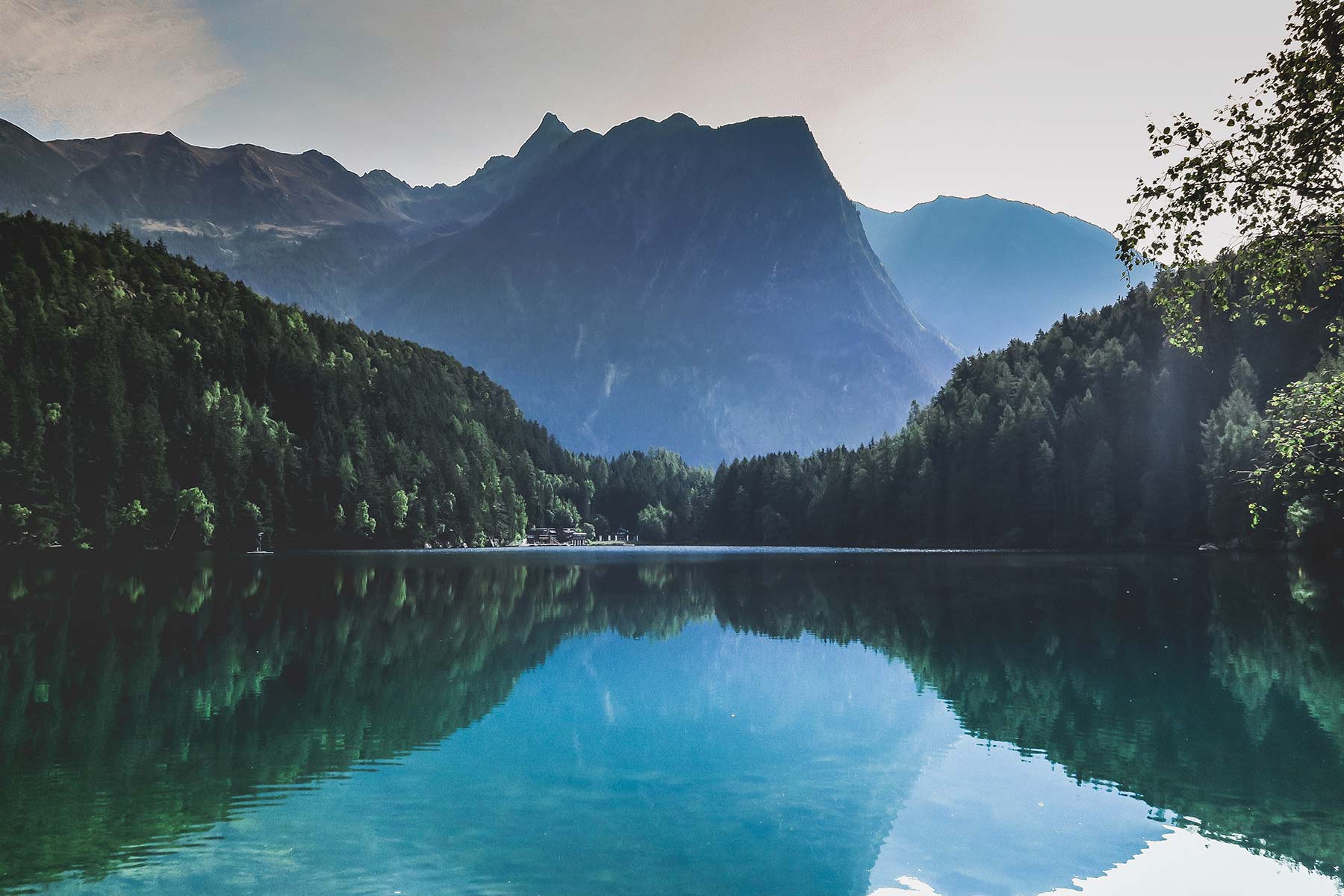 Pienso perros Summit 10 sin cereales salmón