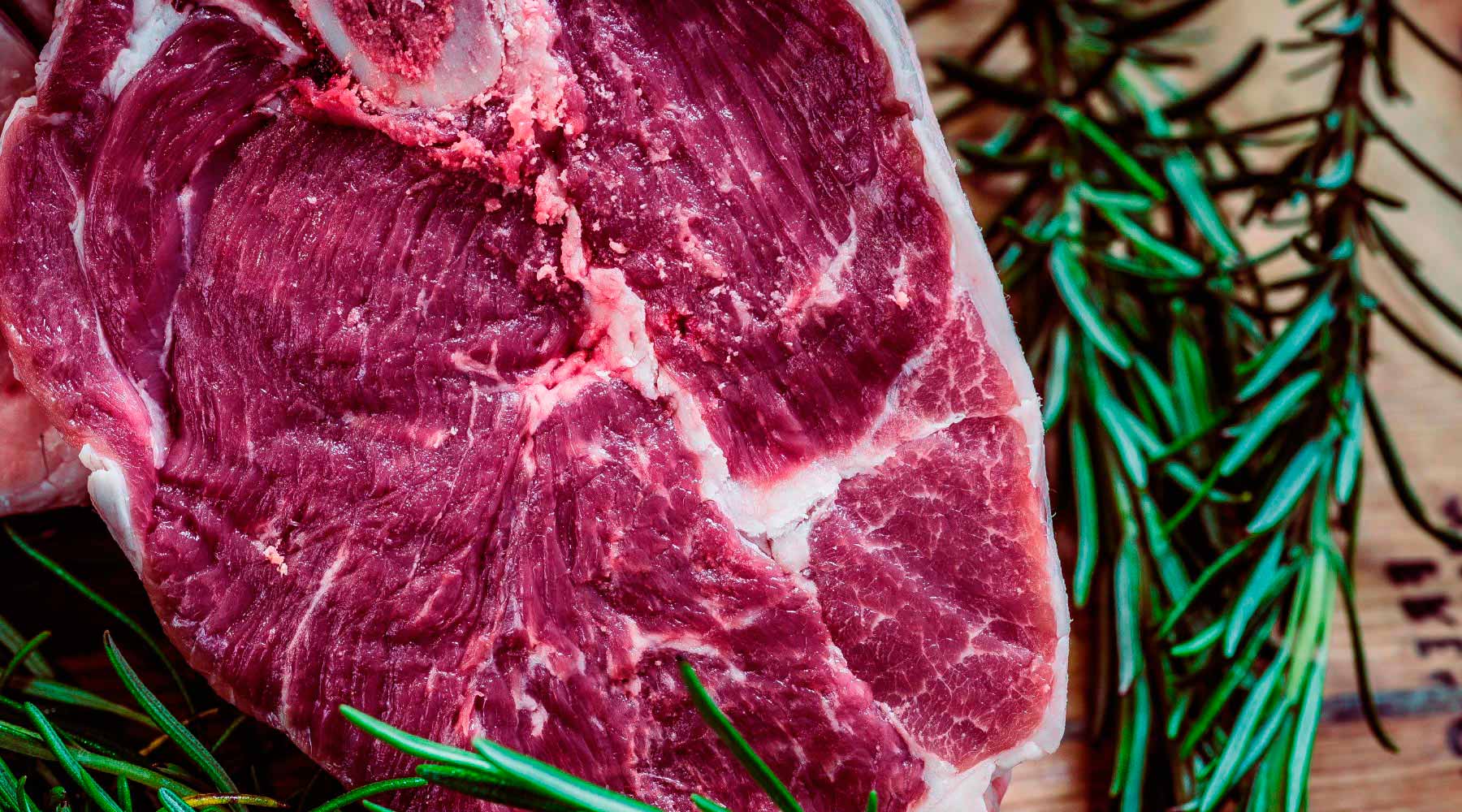 Summit 10 Life Stages dog benefits