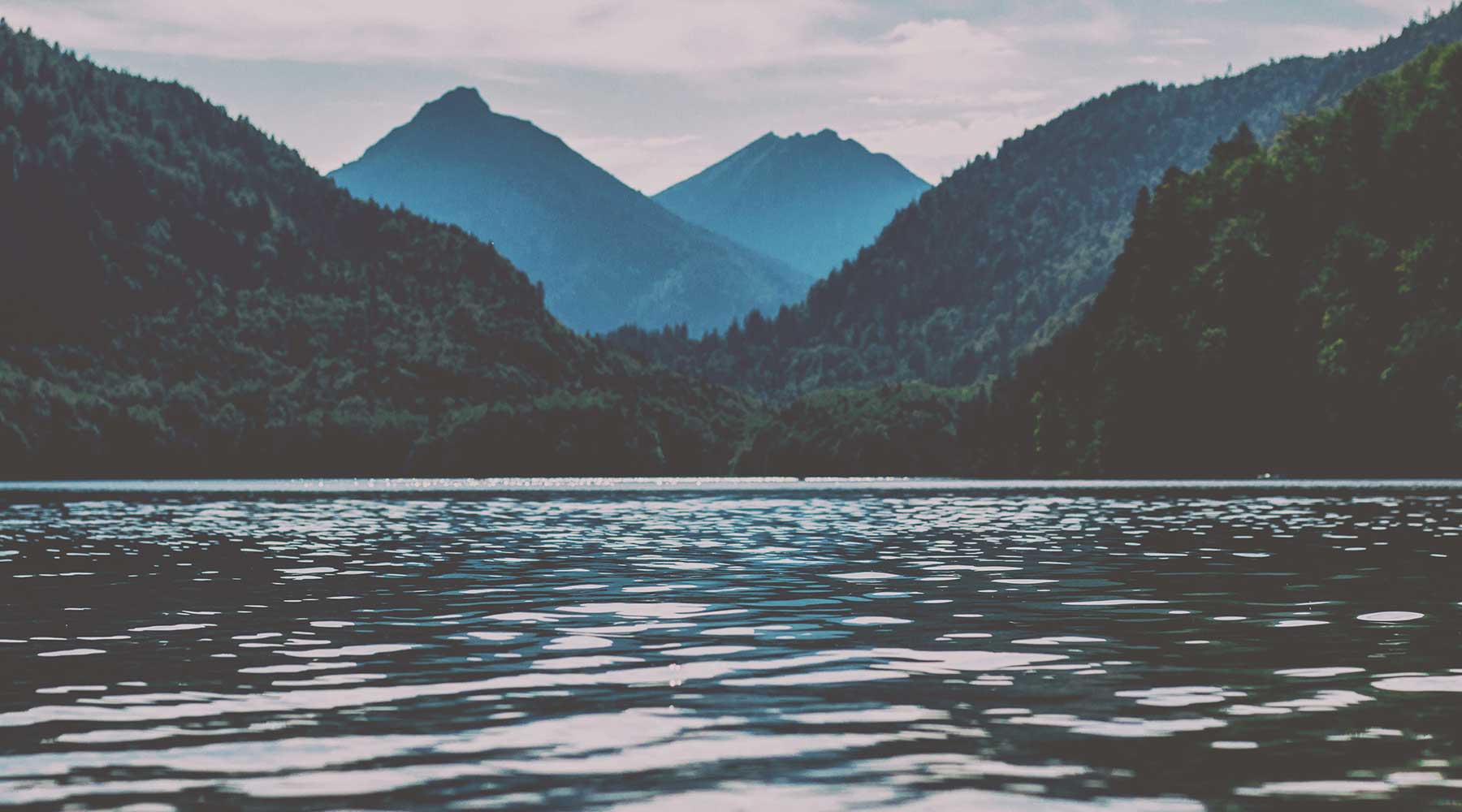 Pienso perros activos Summit 10 ingredientes