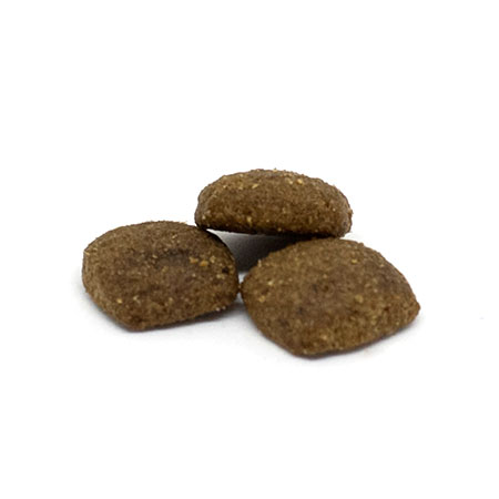 Pienso perros activos Summit 10