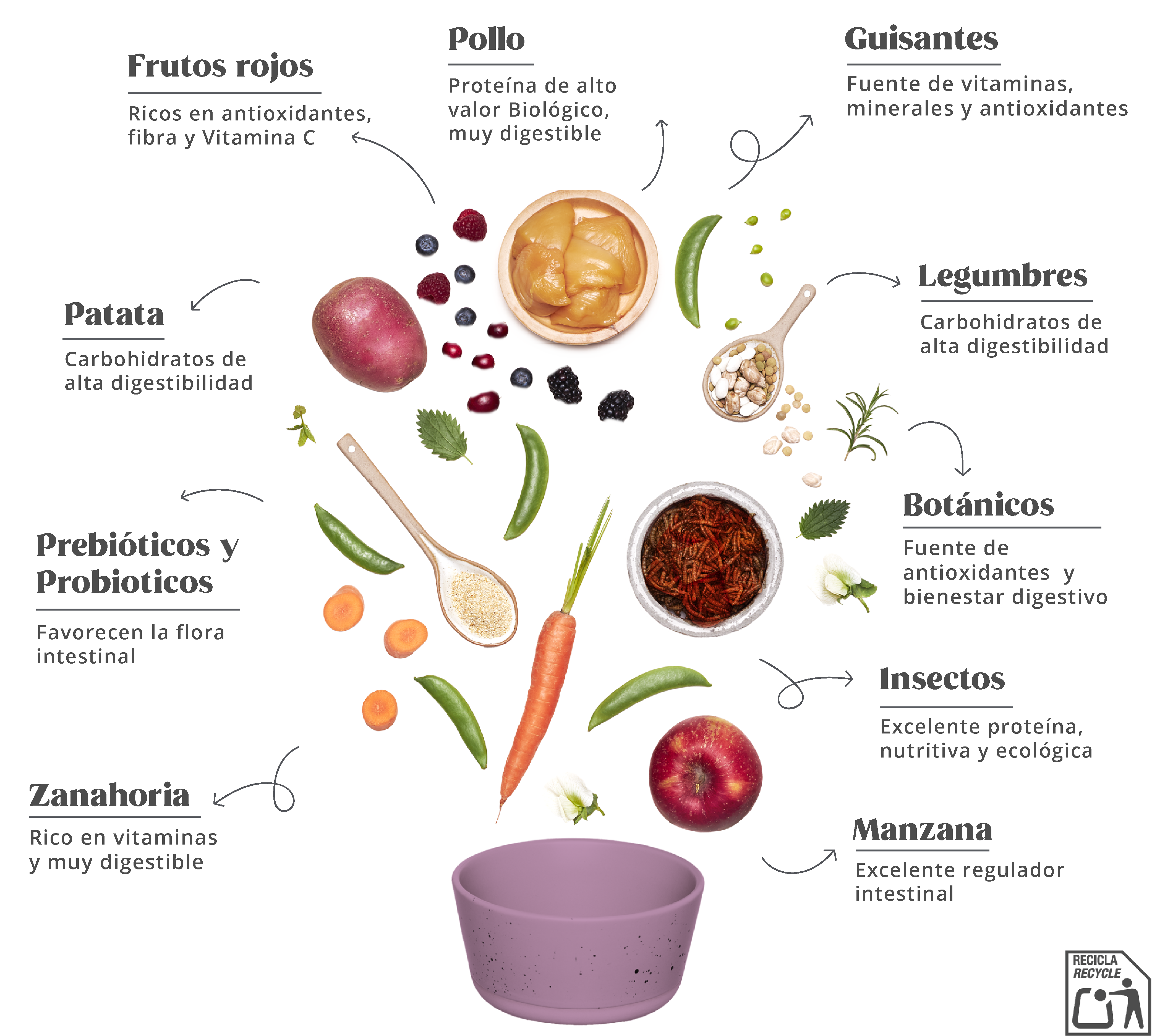 Summit 10 Whole Choice