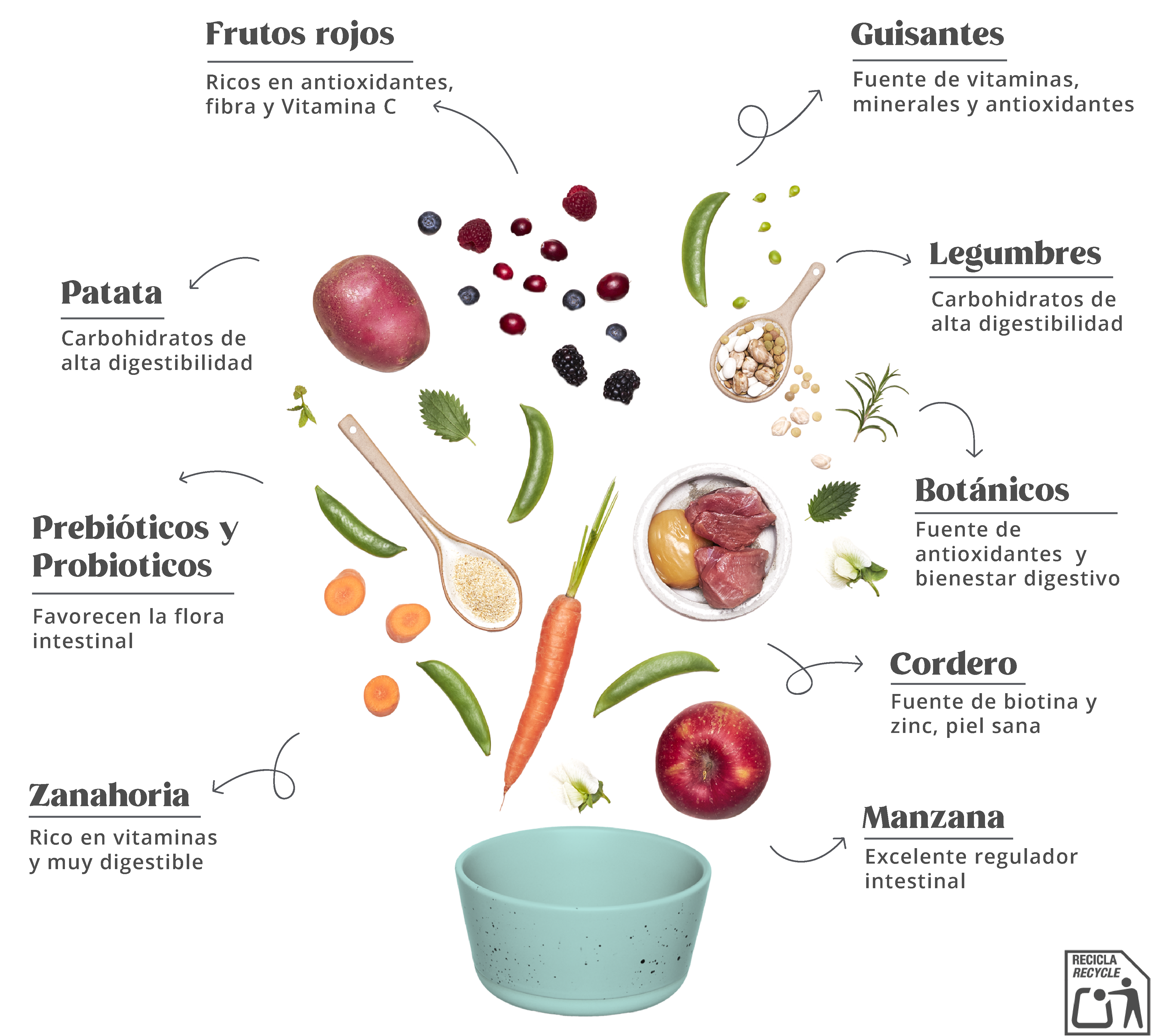 Summit 10 Whole Choice