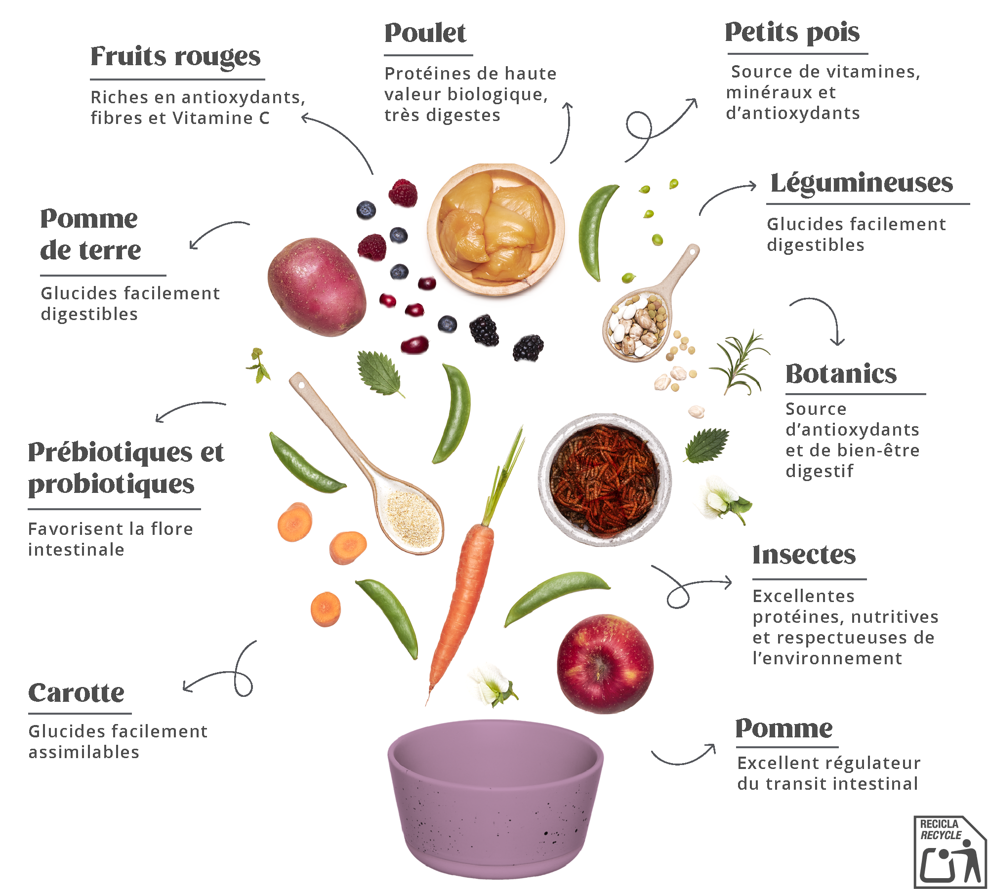 Summit 10 Whole Choice
