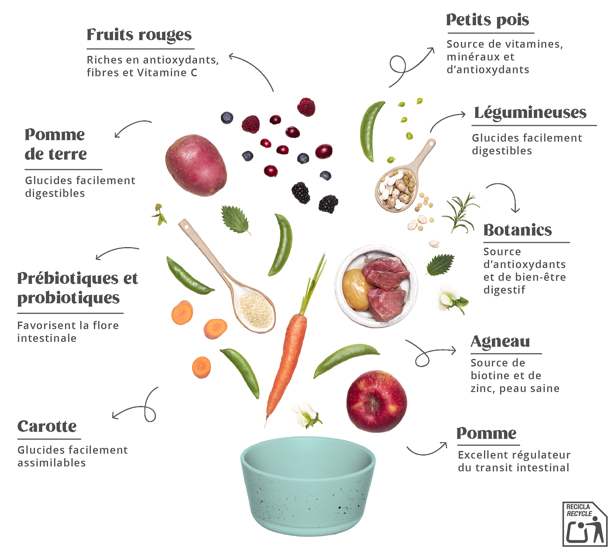 Summit 10 Whole Choice